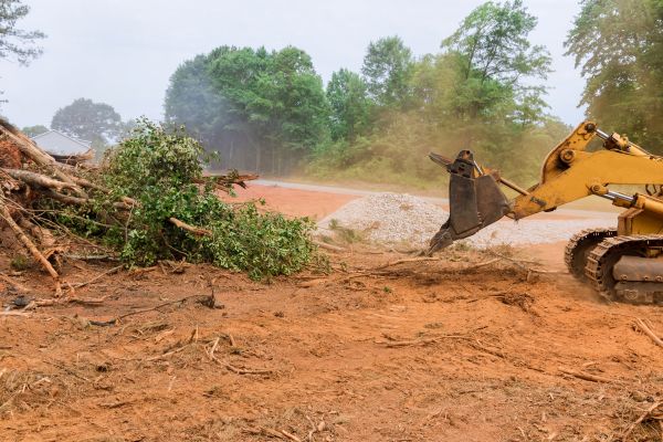 Ground Clearing in Marco Island