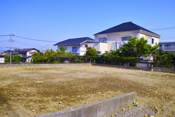 Cost of Lot Clearing Service in Marco Island