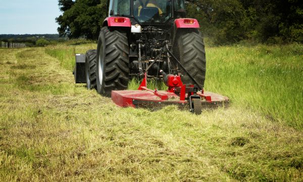 Brush Clearing Service in Marco Island