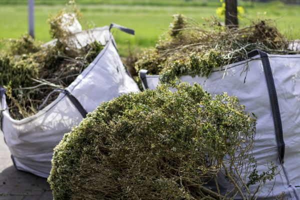 Cost of Bushes Clearing in Marco Island
